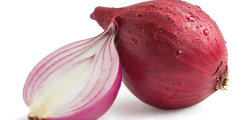 Cebolla, imprescindible para la gastronomía y para la buena salud Cebolla, imprescindible para la gastronomía y para la buena salud