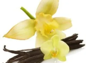 Doña Vainilla: aroma en manos de mujer