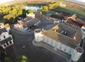 Castell del Remei, la 5ª marca de vino registrada más antigua de España, comienza una nueva etapa de la mano de Tomàs Cusiné