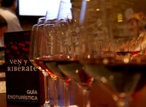 La Ruta del Vino Ribera del Duero presenta su proyecto enoturístico de éxito en FITUR 2016