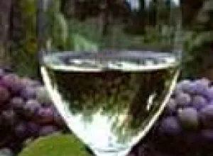 Vinos y Comida Gourmet desde el Suroeste de Francia