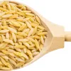 pastina-gastronomia-italiana