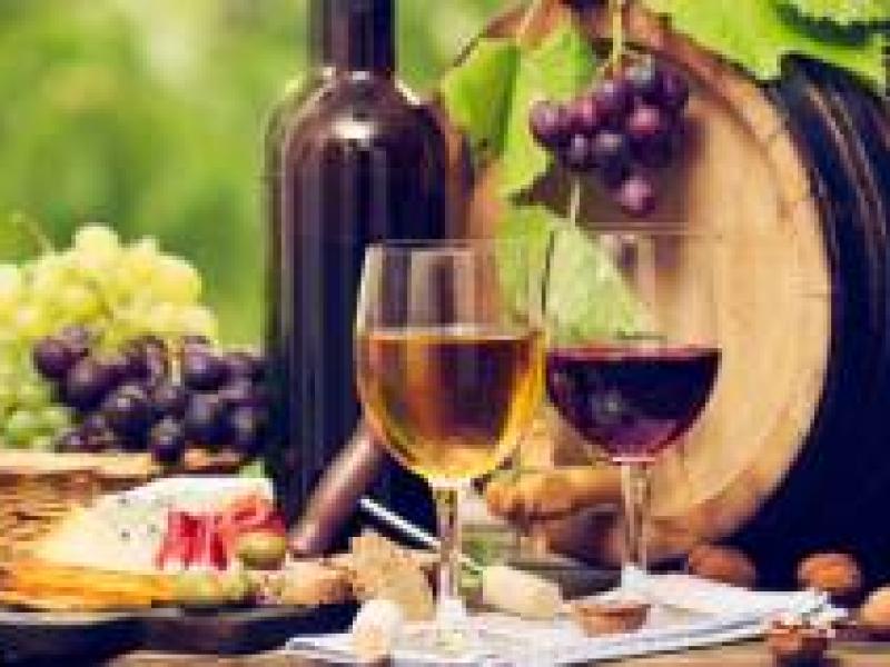 Siete conceptos básicos para andar por el mundo del vino