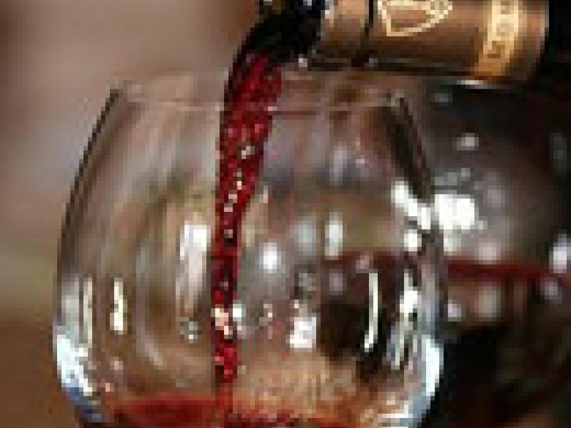 Feria del Vino y la Denominación de Origen concluye con gran afluencia de visitantes