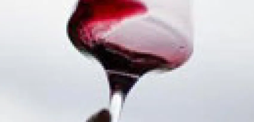 'Wine Future' congregará a un millar de especialistas del vino en Logroño 'Wine Future' congregará a un millar de especialistas del vino en Logroño
