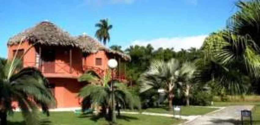 Realizarán evento "Gastronomía a lo Cubano" en Villa Clara Realizarán evento "Gastronomía a lo Cubano" en Villa Clara