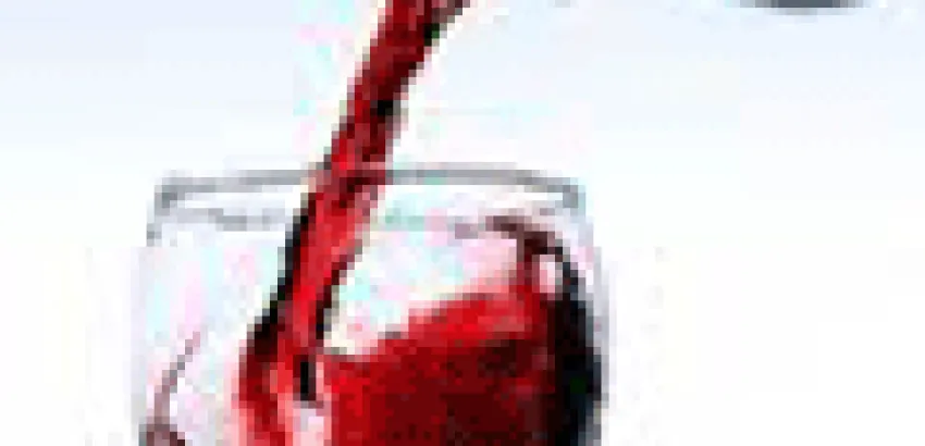 ¿Qué nos dice la uva a la hora de elegir un vino? ¿Qué nos dice la uva a la hora de elegir un vino?