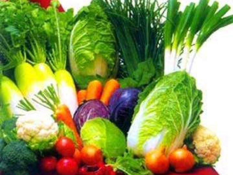 Examinarán el nuevo reglamento europeo de producción ecológica