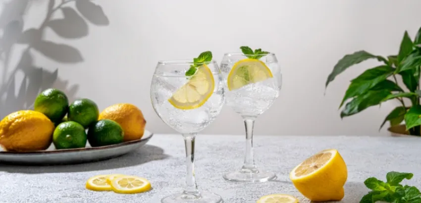 día-mundial-del-Gin-Tonic Gin Tonic