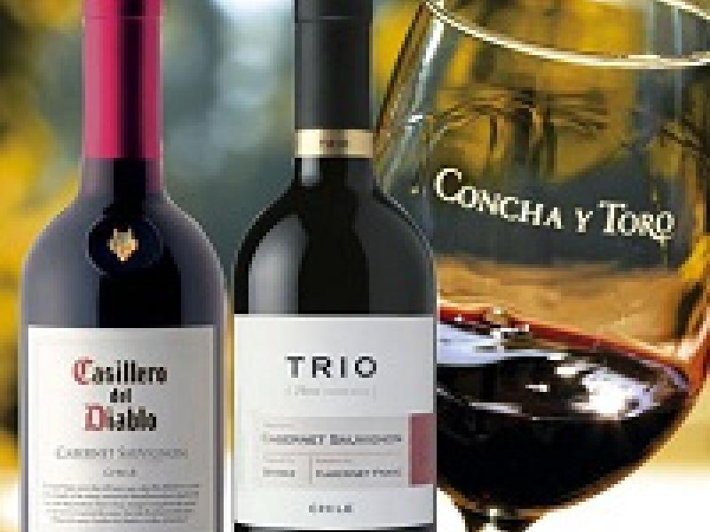 Concha y Toro mantiene posición como la segunda marca de vinos más poderosa del mundo