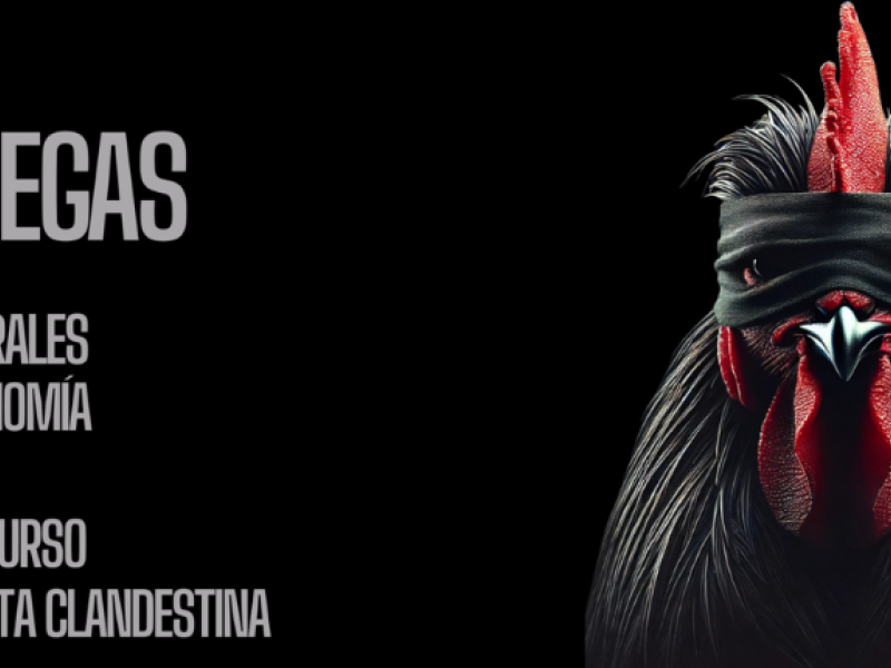León celebra El Gallo Wine Fest 2025