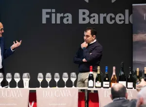D.O. Cava