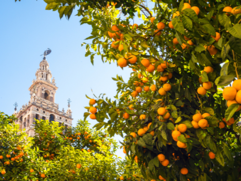 cordoba soletes guia repsol