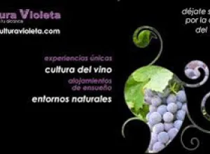 Convenio AEE-Cultura Violeta
