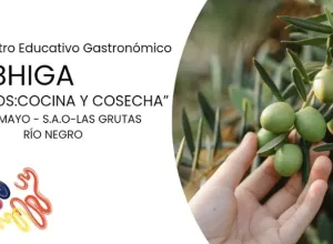 convocatoria Olivos: cocina y cosecha