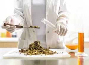 EEUU aprueba cultivar carne en sus restaurantes