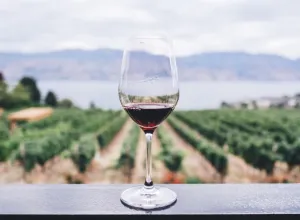  I Simposio de Vinos Mediterráneos
