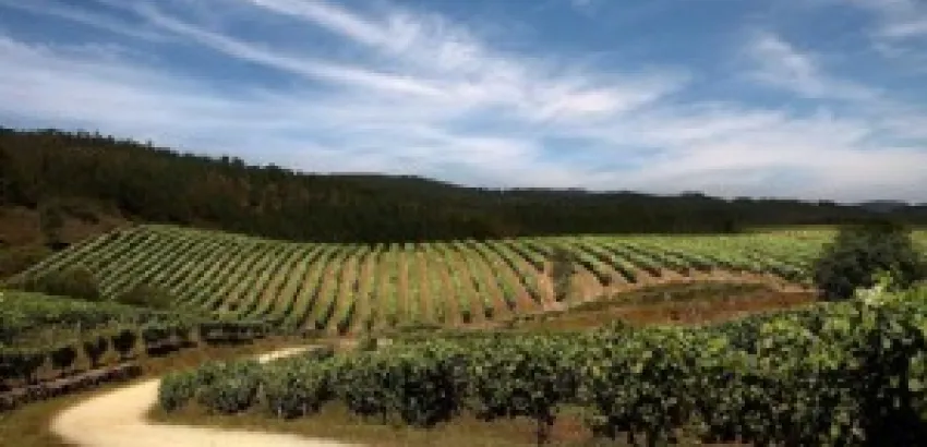 Rutas del vino de España Rutas del vino de España