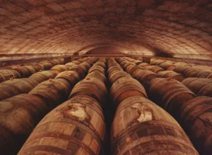 La crianza de los vinos