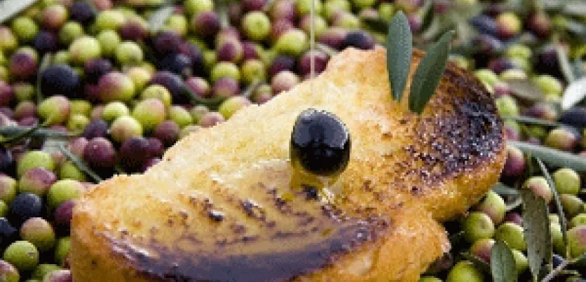 La celebración del “Día de la Tostada” en Arróniz ensalza el aceite navarro La celebración del “Día de la Tostada” en Arróniz ensalza el aceite navarro