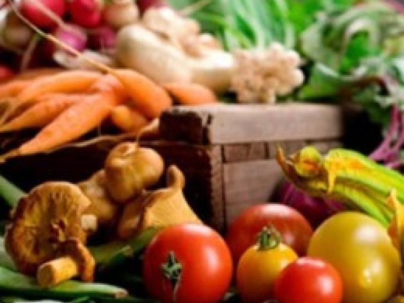 Fraude masivo en la agricultura ecológica