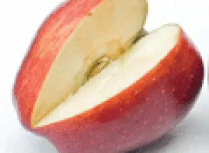 Calvados «El alma de la manzana»