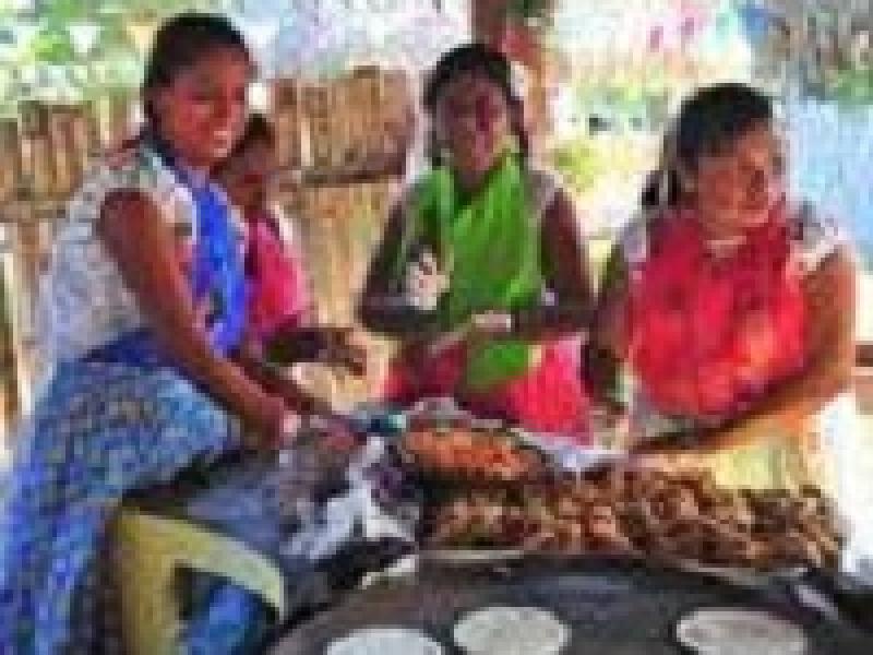 Gastronomía Totonaca viajará a La Habana