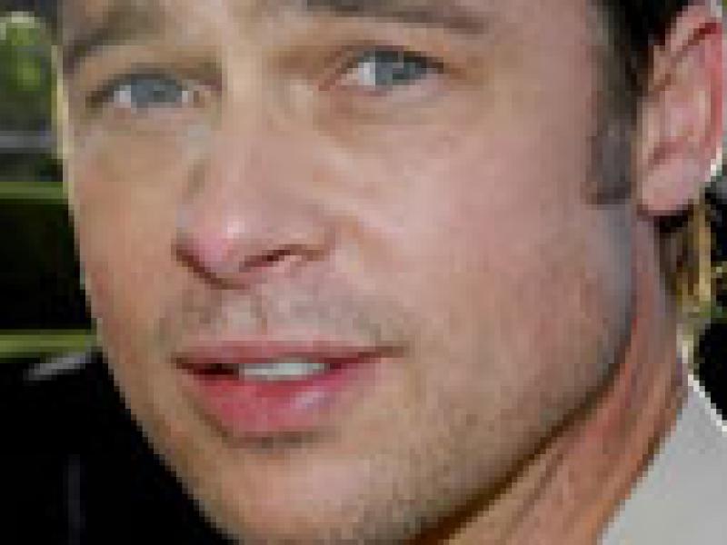 Brad Pitt podría fabricar su propio vino