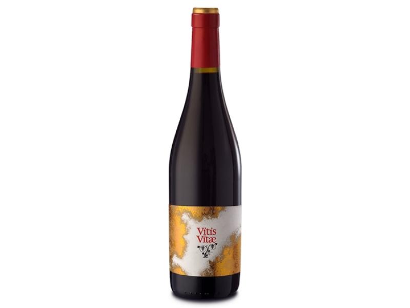 Un productor italiano crea el vino más sano del mundo