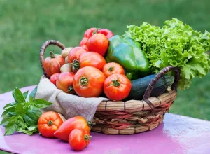 Vegetales y hortalizas 