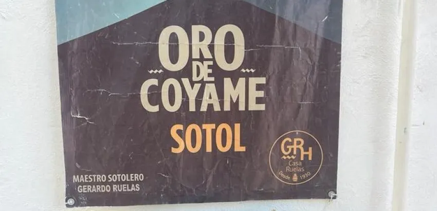 sotol