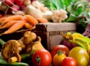 Fraude masivo en la agricultura ecológica