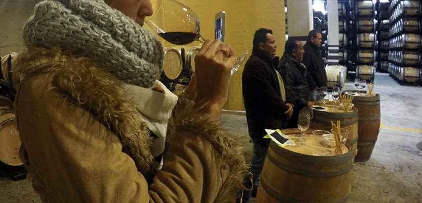 Bodegas Torres: redescubriendo el sabor de España (II Parte)