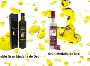 concurso-internacional-cuyoliva