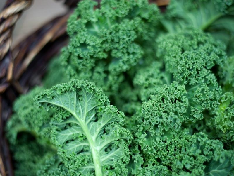Kale-alimentos-beneficiosos-pa-el-organismo