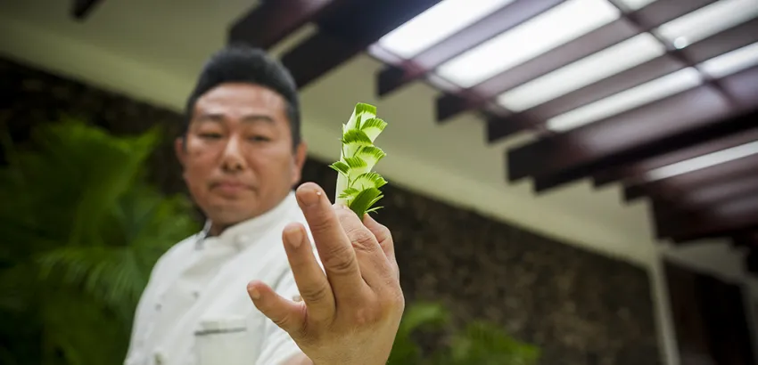 Seminario Gastronomico Internacional Excelencias Gourmet- Hiroyuki-Tereda