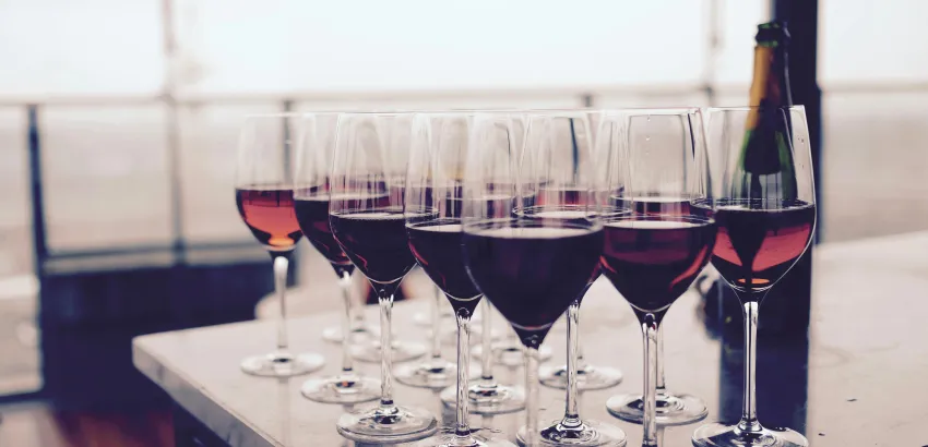 vinos vinos