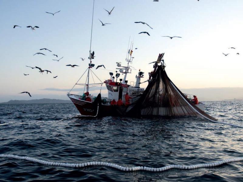 Nuevas directrices para frenar las capturas ilegales de pescado