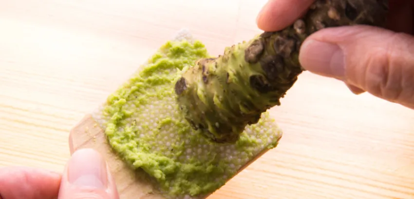 rallador de wasabi
