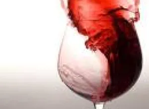 La Feria del Vino Ecológico se consolida como referente del sector