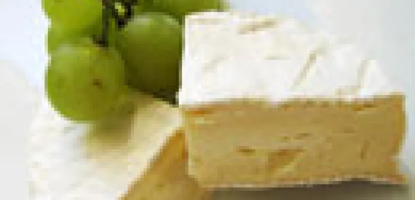 El queso Camembert busca compañía