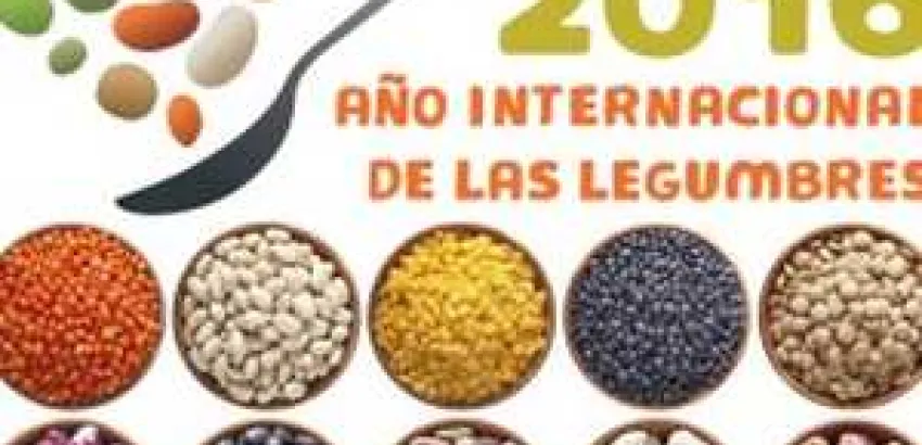 El secreto de las semillas mágicas