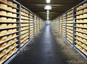 El queso sueco que no puede moverse