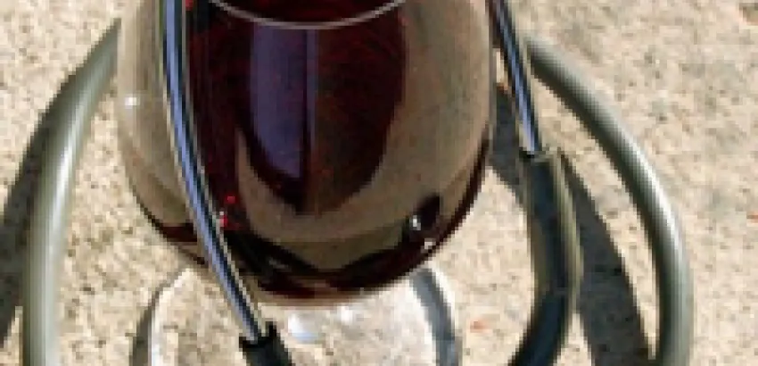El consumo moderado de vino disminuye la posibilidad de contraer enfermedades cardiovasculares El consumo moderado de vino disminuye la posibilidad de contraer enfermedades cardiovasculares