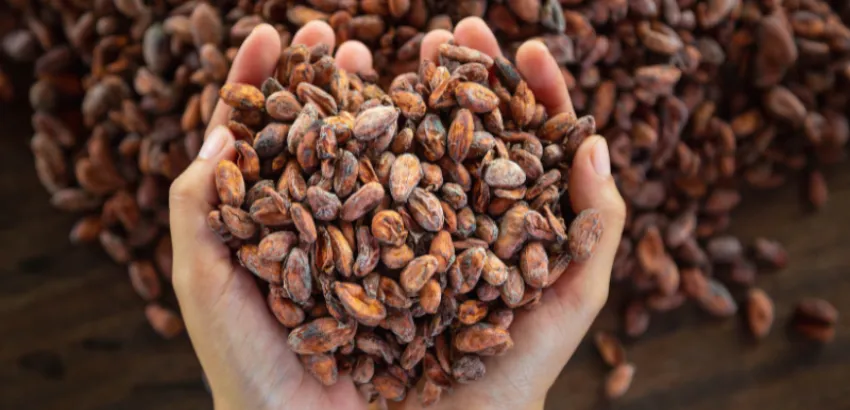 beneficios del cacao
