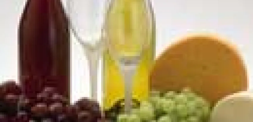 Bolivia produce Vinos de altura Bolivia produce Vinos de altura