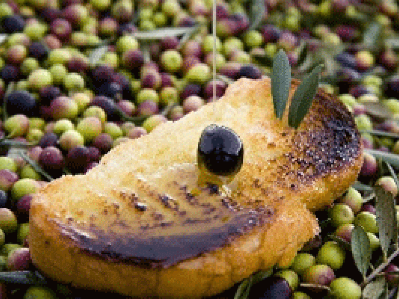 La celebración del “Día de la Tostada” en Arróniz ensalza el aceite navarro