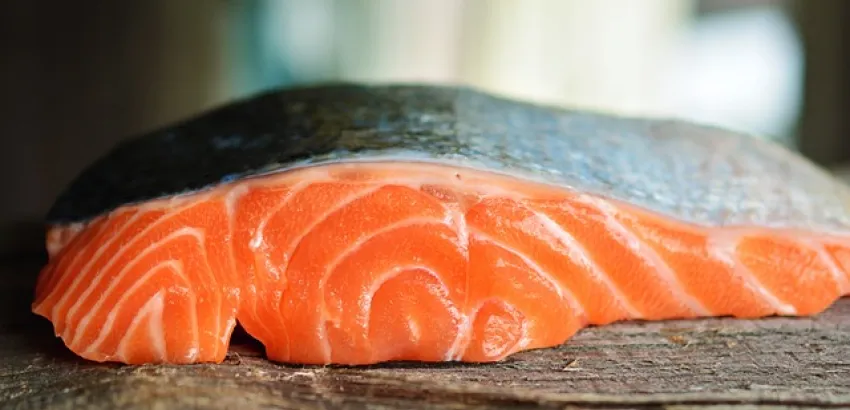 salmón salmón