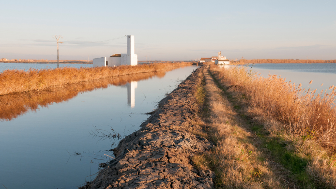 Albufera de Valencia