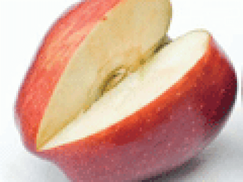 Calvados «El alma de la manzana»